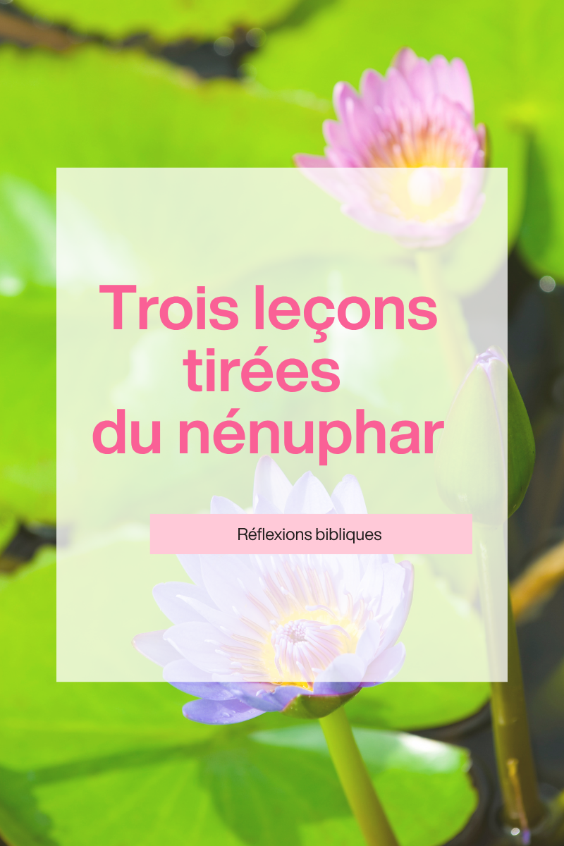 Trois leçons tirées du nénuphar